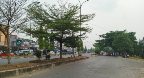 Kabut Asap Mulai Selimuti Merangin, Warga Keluhkan Gangguan Jarak Pandang